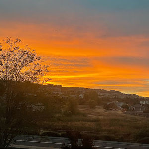 Meet your Posher, Ricky